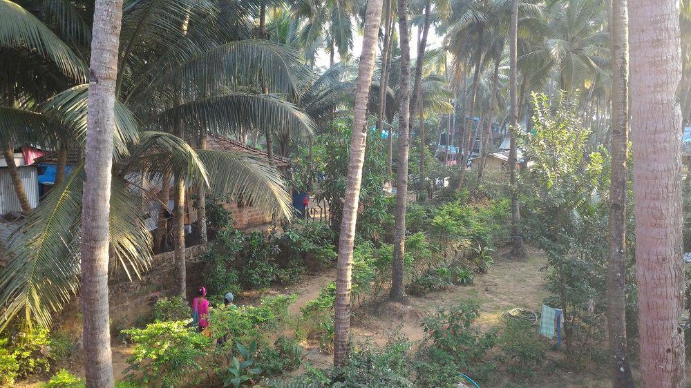 La Alegro Guest house 2*